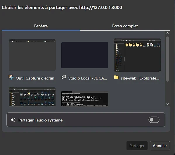 Fenêtre de sélection Windows pour le partage d’écran, avec l’option Partager l’audio système